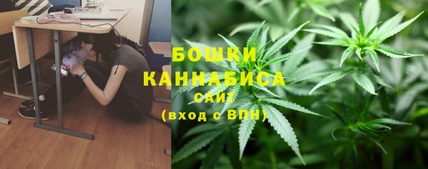 МДПВ Инта