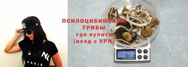 МДПВ Инта