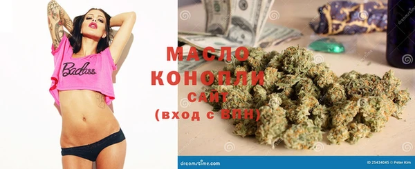 МДПВ Инта