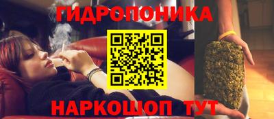 индика Комсомольск-на-Амуре