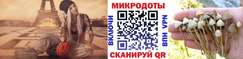 hydra онион  что такое наркотик  Карпинск  Галлюциногенные грибы мицелий 